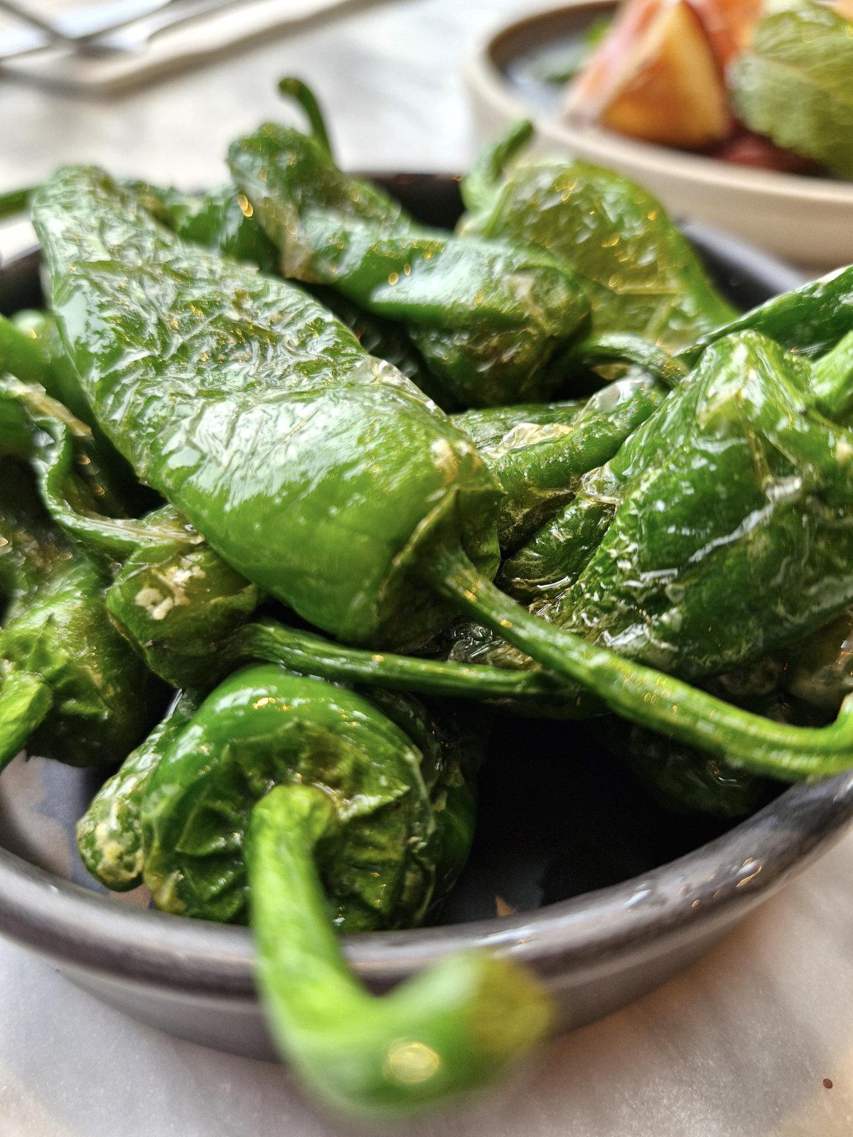 padron peppers bamboleo