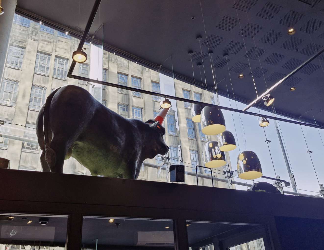 Top Cut Glasgow Review cow with cone