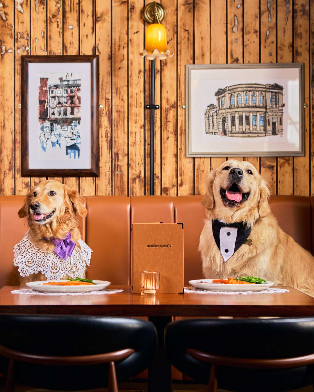Glasgow pub launches £8 Sunday roast for dogs